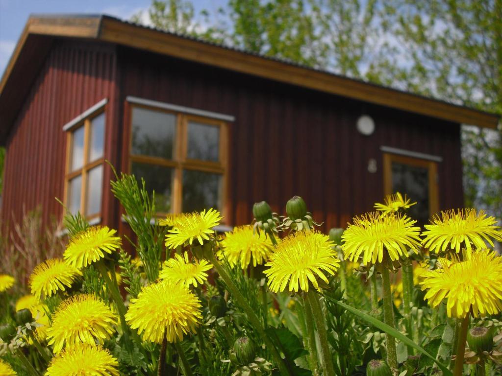 Guesthouse Petursborg Akureyri Zimmer foto