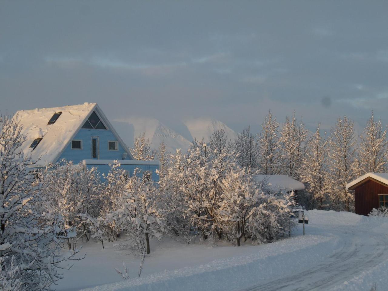 Guesthouse Petursborg Akureyri Exterior foto